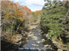 Guest River Gorge Stream Near Coeburn, VA